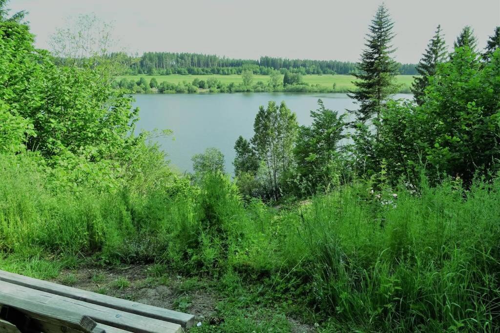 Modernes Apartment Mit Traumhaftem Blick Ins Gruene Bräunlingen Eksteriør bilde