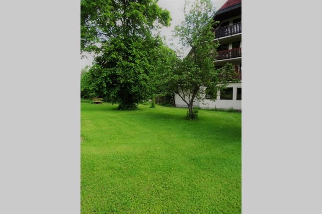 Modernes Apartment Mit Traumhaftem Blick Ins Gruene Bräunlingen Eksteriør bilde