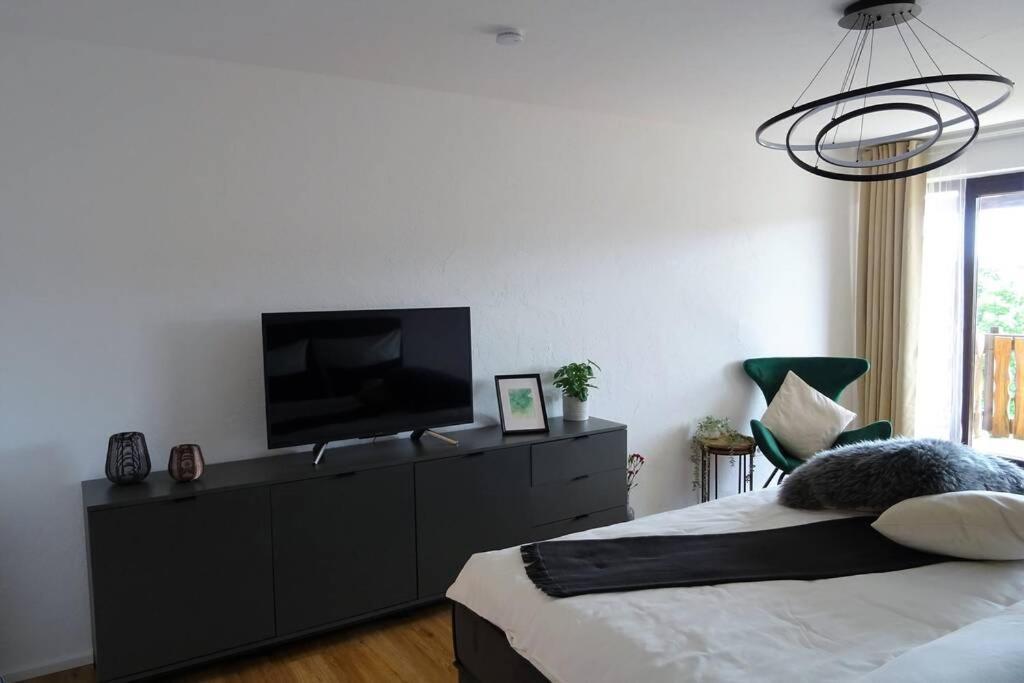 Modernes Apartment Mit Traumhaftem Blick Ins Gruene Bräunlingen Eksteriør bilde
